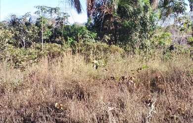 Imagem 4: Terreno 1 hectare. 10.000m² de Área