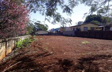 Imagem 9: Terreno em Apucarana 600m2 próximo ao Premem