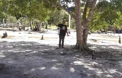 Imagem 7: Manaus Itacoatiara, AM 010 Km 32, Ramal Água Preta S/N