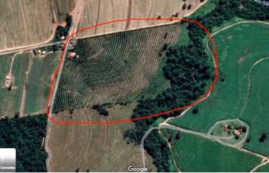 Imagem 5: Sitio de seringueira a venda em Floreal