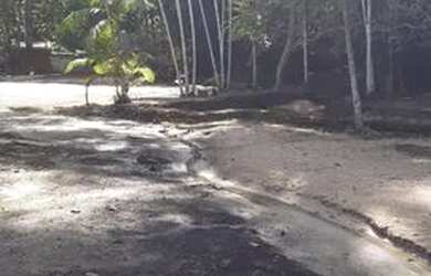 Imagem 10: Manaus Itacoatiara, AM 010 Km 32, Ramal Água Preta S/N