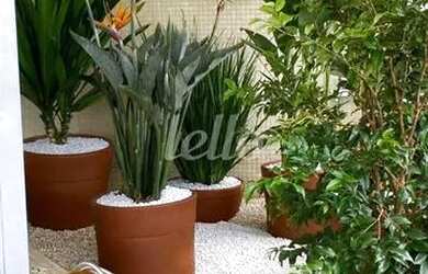 Imagem 2: São Paulo - Apartamento Padrão - Paraíso