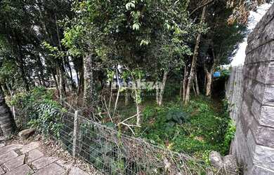 Imagem 7: LOTE A VENDA NO LOTEAMENTO MAZZURANA