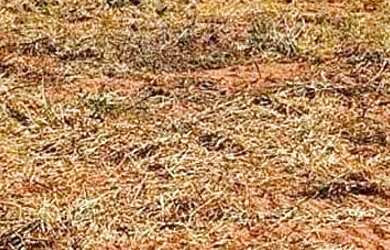 Imagem 5: Fazenda/Sítio/Chácara para venda tem metros quadrados em zona rural...