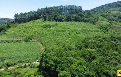 Imagem 3: Sítio / Chácara para Venda em Nova Petrópolis, Linha Olinda, 2 dormitórios,...