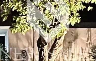 Imagem 12: Exclusividade e Charme Casa à Venda no Residencial Jacarandá