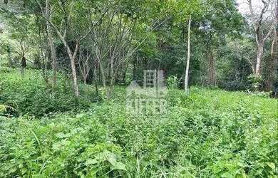 Imagem 12: Terreno à venda, 2091 m² por R$ 240.000,00 - Pendotiba - Niterói/RJ