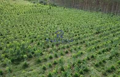 Imagem 3: Fazenda, Centro, Cardeal da Silva - R$ 5 mi, Cod 68601