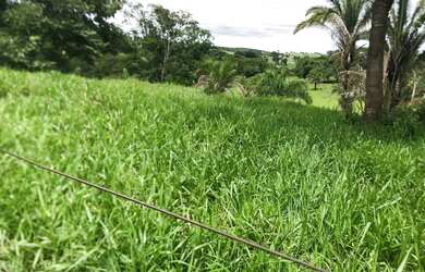 Imagem 4: Alugo Pasto Abadia de Goiás 3 Alqueire com água