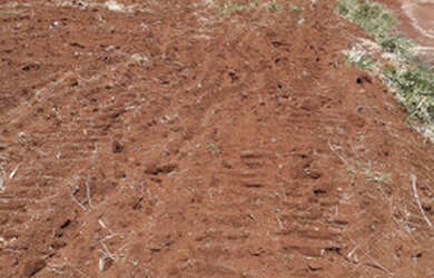 Imagem 4: Fazenda em ipiranga