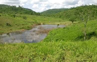 Imagem 15: Fazenda para venda. Com 1.419 ha em Jequitibá - Mundo Novo - BA