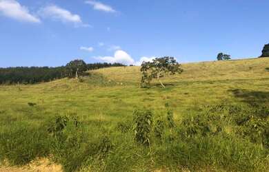 Imagem 3: Lote/Terreno para venda tem 1000 metros quadrados em Recreio São Jorge...