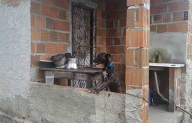 Imagem 1: Vendo uma casa. 10m² de Área