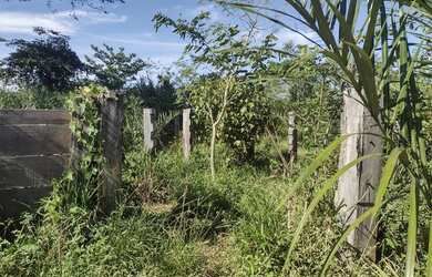 Imagem 5: Fazenda Cocalinho MT beira rio Araguaia sede energia solar, 5 minutos...