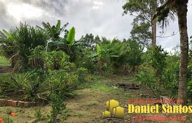 Imagem 7: SITIO RURAL em SANTA CRUZ CABRÁLIA - BA, camurugi em Santa Cruz Cabrália