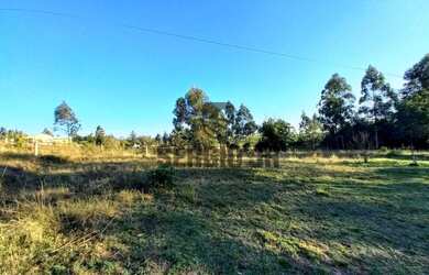 Imagem: A fazenda possui 5991m² de Área e está localizado em Triunfo