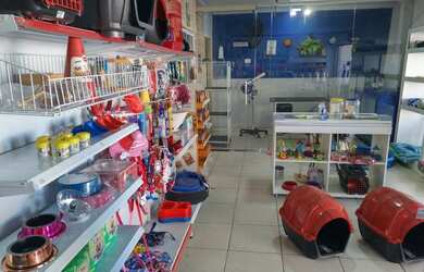 Imagem 1: Vendo-se pet shop. 70m² de Áreae3 Vagas na garagem