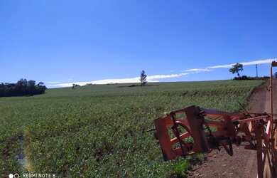 Imagem 4: Sítio no Oeste do Paraná
