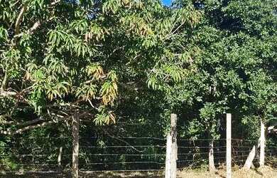 Imagem 6: 3 Ha com casa. 30.000m² de Área