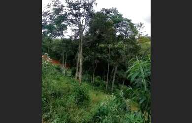 Imagem: O terreno possui 5.000m² de Área e está localizado em Centro