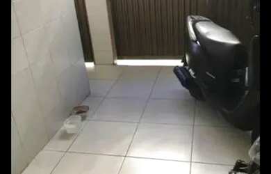 Imagem: A casa possui 2 Dormitórios, 1 Banheiro, 1 Vaga na garagem