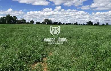 Imagem 12: FAZENDA FORMADA NA REGIÃO DE JANAUBA E CAPITÃO ENEIAS MG PARA PECUARIA...