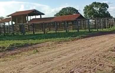 Imagem 3: Vende-se uma excelente fazenda de 1.100 hectares