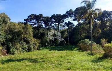 Imagem 5: Amplo terreno à venda em bairro residencial