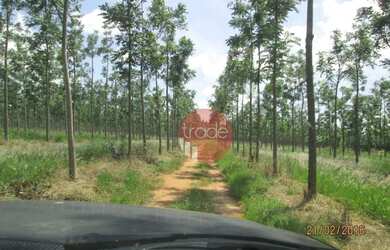 Imagem 2: Fazenda com 1 dormitório à venda, 8820000 m² por R$ 22.000.000,00 -...