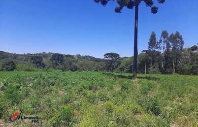 Imagem: A fazenda possui 36.000m² de Área e está localizado em Mandirituba