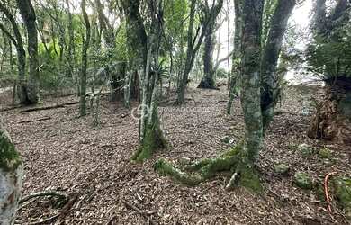 Imagem 7: TERRENO NO CONDOMINIO LAGOS DE GRAMADO