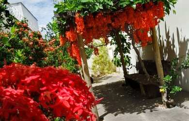 Imagem 4: Vendo linda Casa em São Luís dos belos Montes 730 Mil 03 Quartos 03...