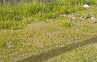 Imagem 2: Terreno em condomínio fechado Villas do Jaguari