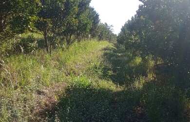 Imagem 3: Terreno Belo Vale MG. 2.000m² de Área