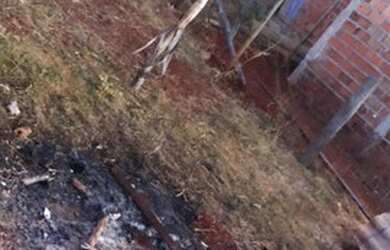 Imagem 7: Lote. 120m² de Área