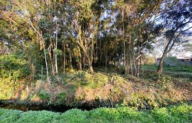 Imagem 6: Terreno de esquina no Balneário Gaivota, em Itanhaém, litoral sul de...