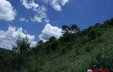 Imagem: O terreno possui 21436m² de Área e está localizado em Ewbank