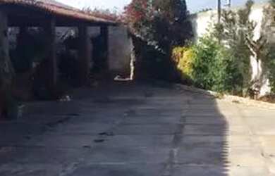 Imagem: A casa possui 3 Dormitórios, 2 Banheiros, 3 Vagas na garagem