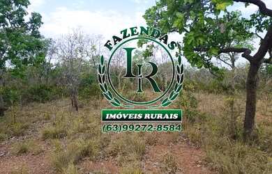 Imagem: A fazenda possui Imóvel novo e está localizado em Plano Diretor