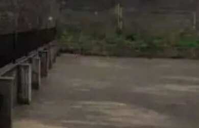 Imagem 6: Galpão à venda em Barueri, Vila São Silvestre, com 780 m²