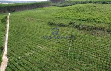 Imagem 4: Fazenda, Centro, Cardeal da Silva - R$ 5 mi, Cod 68601