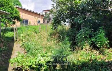 Imagem 3: Terreno Desvio Rizzo Caxias do Sul