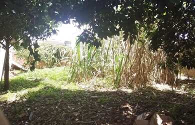 Imagem 5: Casa à venda, Jardim Colúmbia I, Arapongas, PR