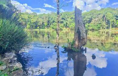 Imagem 16: TERRENO NO CONDOMINIO LAGOS DE GRAMADO