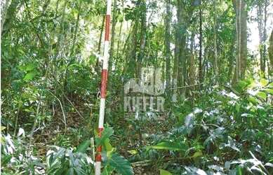 Imagem 10: Fazenda em Santa Maria Madalena 7.421 Hectares no Bioma Mata Atlântica...