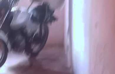 Imagem: A casa possui 2 Dormitórios, 1 Banheiro, 3.010m² de Área