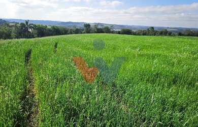 Imagem 9: Chácara 20.000m em Araucária Frente Asfalto, Vista Linda e Zona de Expansão...