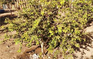 Imagem 5: Vende se. 12.000m² de Área