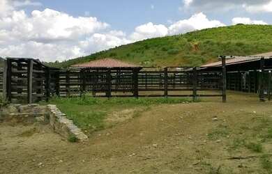 Imagem 1: Fazenda para venda. Com 1.419 ha em Jequitibá - Mundo Novo - BA