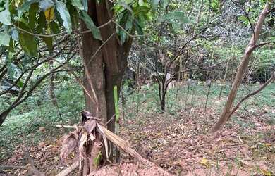 Imagem 10: Lote de 1.137 m² - Santana Parnaíba - SP